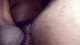 are you fucking the wife like this every night?