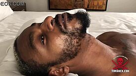 Parker Sucks Big Black Monster Cock Deeply