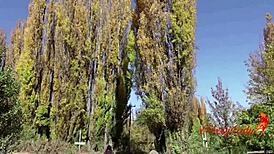 our trip vlog in south argentina turned into rough outdoor sex with the guide!