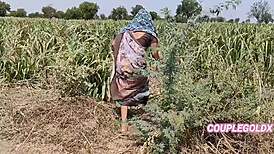 Gentle field scene with owner taking home in anime hentai