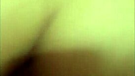 Wow, Latinas And Mulatas T-Girls Are So Horny As Prostitutes!