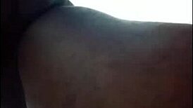 Wow, Latinas And Mulatas T-Girls Are So Horny As Prostitutes!