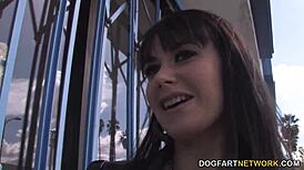 busty cougar eva karera sucks big black cock