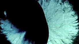 오 맨, 다크 랜턴 엔터테인먼트가 내 비밀 생활 고백의 빈티지 클로즈업 보여줘