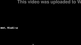 Scars of summer after Saki explored