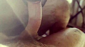 Little Bear Begs For Cock