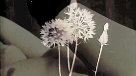 dark lantern entertainment shares vintage swingers’ erotic confessions. a victorian gentleman spills hairy beaver secrets in bisexual tales!