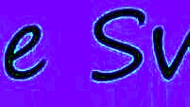 my quirky roommate always surprises me with wild antics