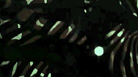 Erotic Alphabet Unveiled in Vintage Cartoon Style