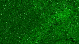 OMG, this teen is masturbating in an airplane toilet without panties and almost gets caught cumming! 😱