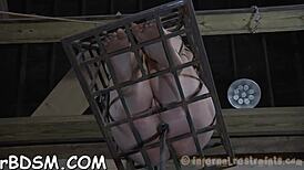 Intriguing sadomasochism training where bound submissive undergoes femdom bondage and hardcore fucking