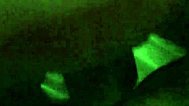 Latina Pussy Fuck Close-Up With Intense Fucking