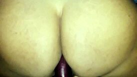 Vegetable Fucking Ass