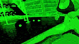 Harem hotel with curvy anime girls