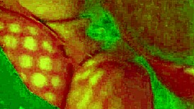 angelg and kuzz halloween special part 2