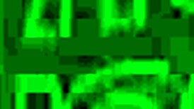 Holly Hendrix is so wild