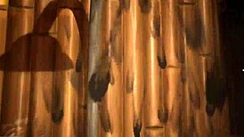 Exploring Venus Bay In Wild Life Game Part 02