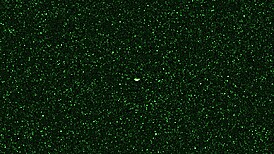 Mera Firelyte Dances with Intergalactic Sluts at Kitty Club