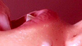 Little Latina Sucks Close-Up