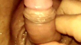 إغلاق بي أو في يظهر رجل يضرب زبه بشدة