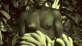 Dark Lantern Entertainment раскрывает винтажные эротические признания