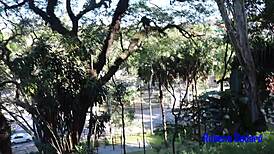 Loirinha Peituda Shows Off Skills In Public Park Encounter