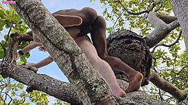 My lover drills my butt on a tall tree branch.