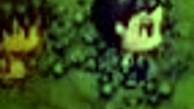 Exploring the dark cave, discovering big tits and ass.