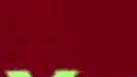 Licking Pussy In Detailed Cunilingus Session