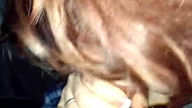 Retro Blue Film Video from February 4, 2017