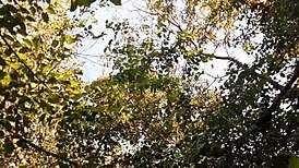 me n my girlfriends, oops, mastubating outdoors in swimsuits... crazy!