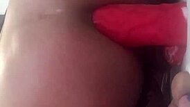 Sexygirlstephaniejames says, concentr8 on that sexy transsexual crossdressing