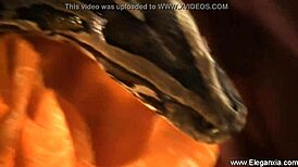 uh, my erotic dance dreams got me all messed up!