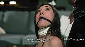 Ever swapped subs with dominant milfs like Lexi Lore and Ariel X?