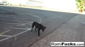 Romi Rain and Dani devour each other's pussies in black-light lesbian fun!