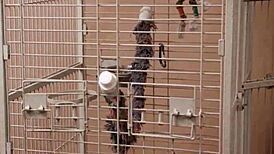 Phoebe Kalib Finds Comfort In Massive Cock Fucking