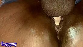 Wet Island Adventure