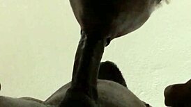 He was cumming but I kept sucking for big load!