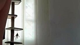 Firm Tits Brunette Moans Loudly In POV Solo