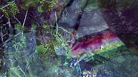 Taylor Rain Enjoys Rough Bent Over Doggystyle Sex With Handjob And Anal Fucking