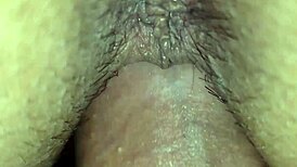 De Perrito Le Introdusco Toda La Verga