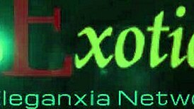 how do erotic indian couples master the art of love?