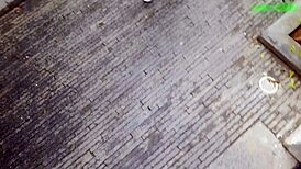 did we almost get caught sucking dick outdoors?