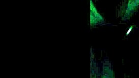 Saliva-dripping blowjob in cinema by sexy latina