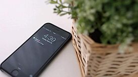 Roxy Dee Takes a Hard Anal Creampie Like a Champ!