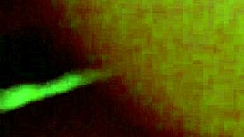 painful assfuck for german blonde amateur needing big cocks