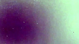 look at that bitch's big hairy pussy