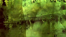 dark lantern entertainment brings vintage hairy beaver classics