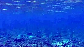 Time to Philosophize with the Biggest Toy for Petite Fun