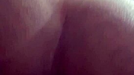 Exploring wild farts and toy play in session six